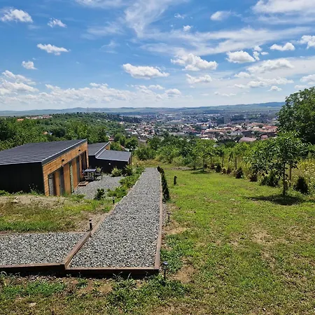Pensjonat Pensiunea Bella Vista
