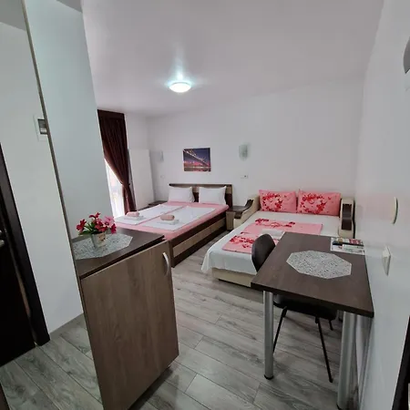 Pensiunea Bella Vista Pensjonat