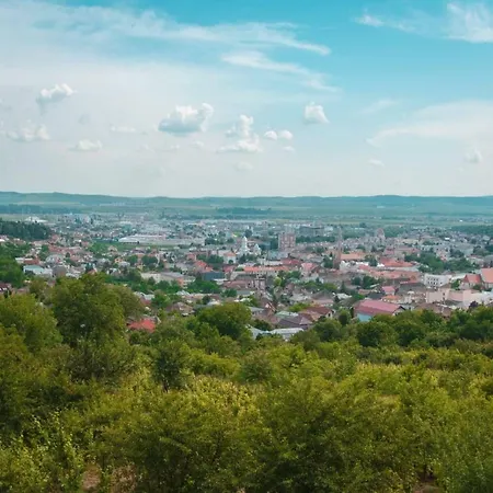Pensiunea Bella Vista Turda